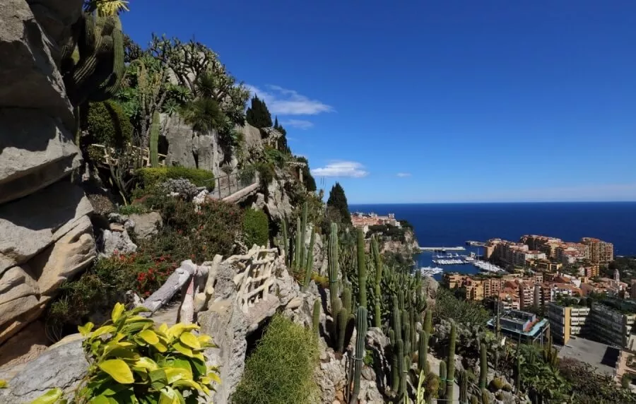 jardin-exotique-de-monaco